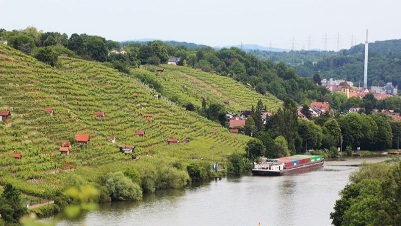 Tour en el rio Neckar